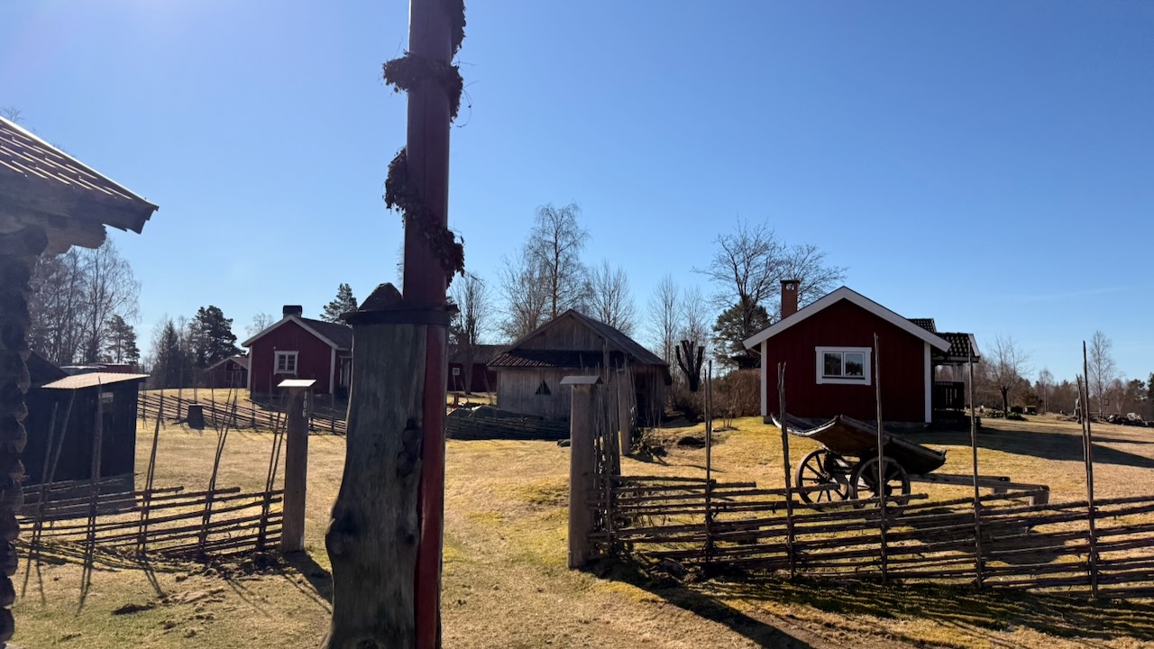 Trailrunning genom svenskt landskap
