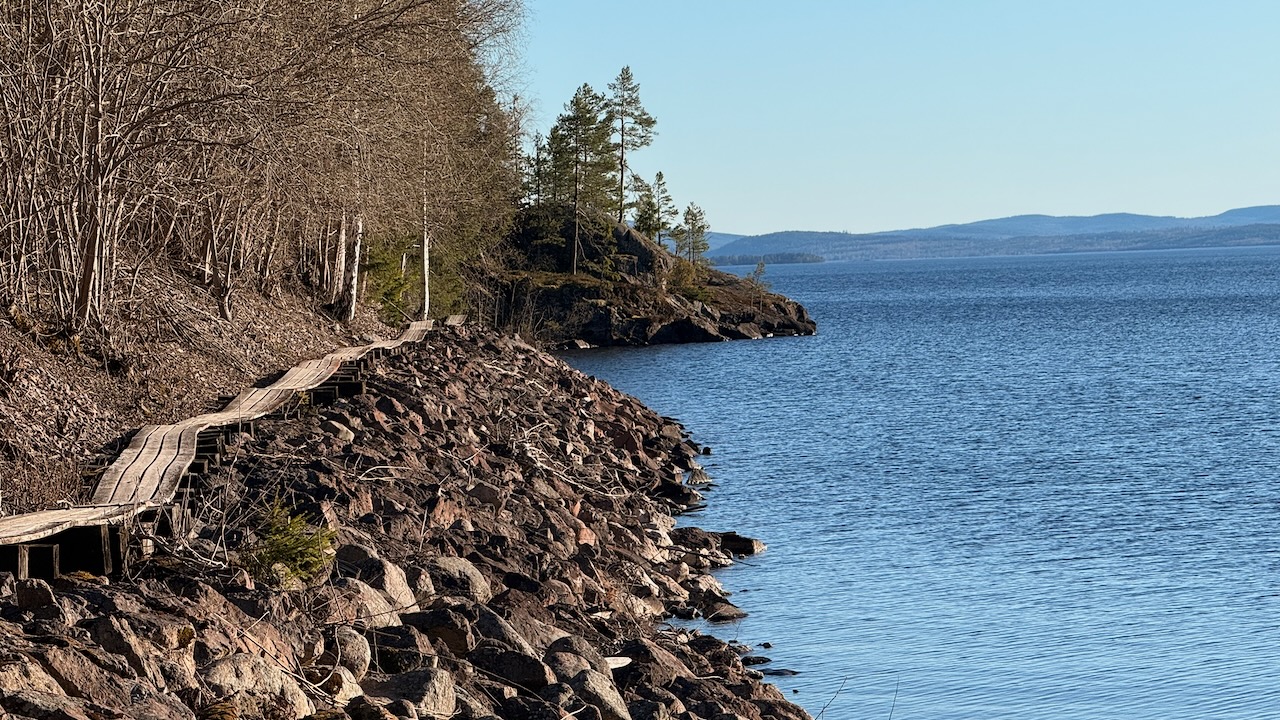 Trail running through Swedish landscape